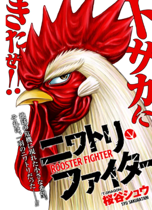 Rooster Fighter Scan